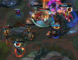 育圈的关注 育圈的关注